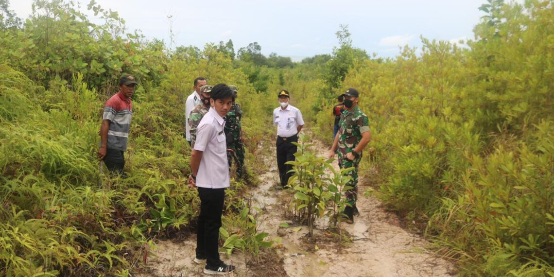 Persiapan TMMD 2023,Dandim 0907/Trk Tinjau Rencana Lokasi