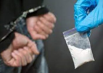 Penangkapan karena narkoba (Foto:Istimewa)