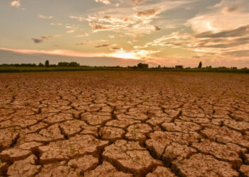 Ilustrasi kekeringan