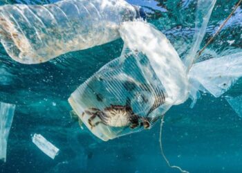 Tahun 2050, Lebih Banyak Sampah Plastik Dibanding Jumlah Ikan di Laut
