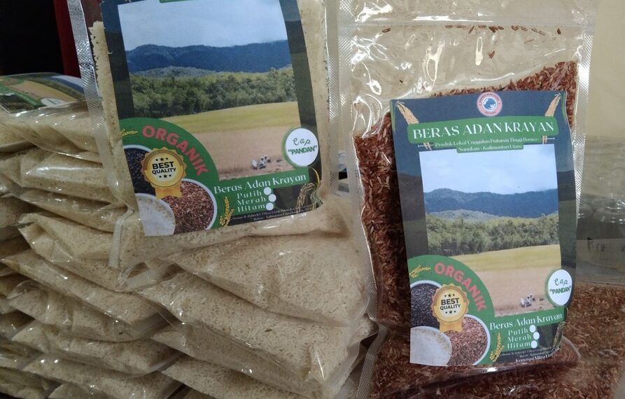 Beras Adan Krayan, Beras Organik Kalimantan Utara Yang Menjadi Favorit Hingga Ketanah Brunei