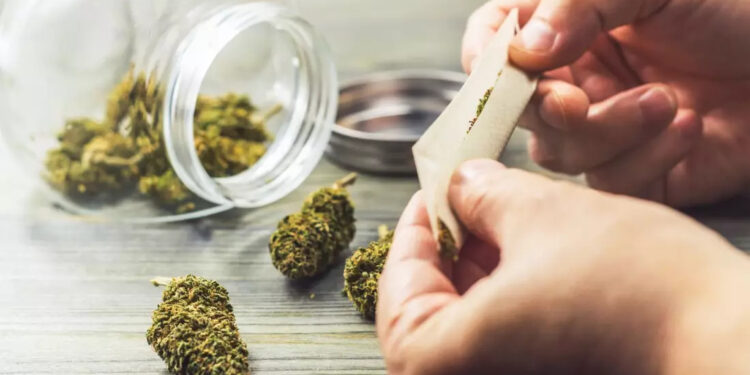 Jerman akan Legalkan Ganja untuk Rekreasi