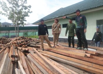 Kodim 0907 Tarakan berhasil amankan 39 Kubik Kayu Ilegal