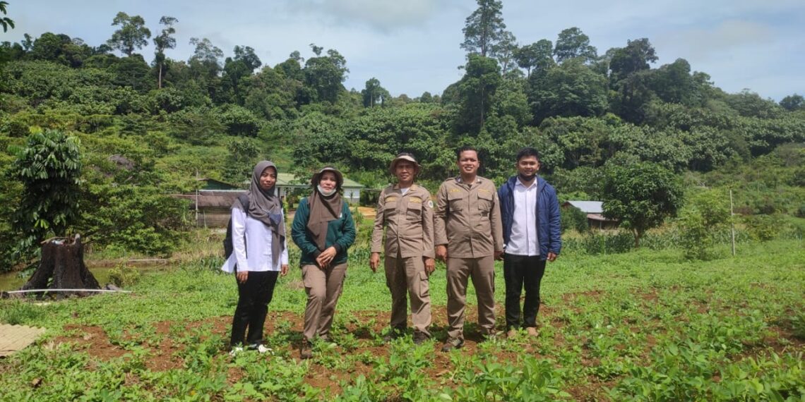 Karantina Pertanian Targetkan Pantau Daerah Sebar 15 OPTK Di Kaltara