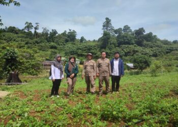 Karantina Pertanian Targetkan Pantau Daerah Sebar 15 OPTK Di Kaltara