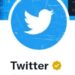 Kenali Arti Warna Tanda Centang Akun Twitter