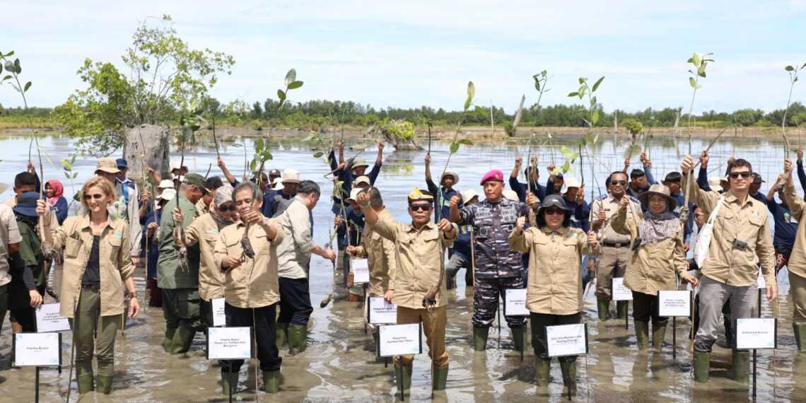 Gubernur Kaltara Resmikan Penanaman Mangrove M4CR di Tana Tidung: Langkah Besar Menuju Rehabilitasi 600 Ribu Hektar Mangrove