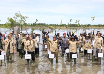 Gubernur Kaltara Resmikan Penanaman Mangrove M4CR di Tana Tidung: Langkah Besar Menuju Rehabilitasi 600 Ribu Hektar Mangrove