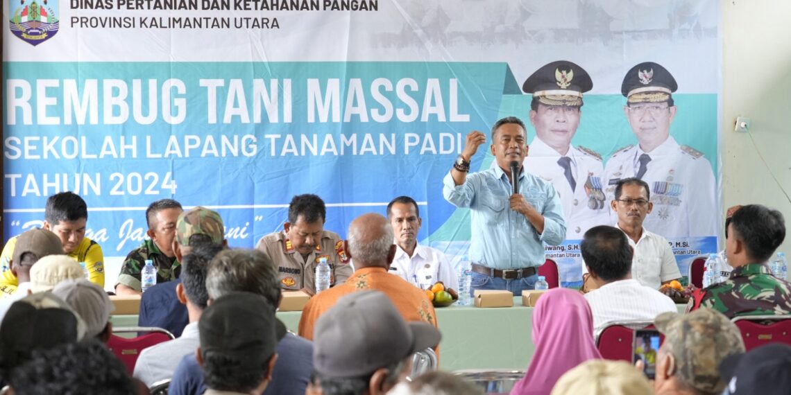 Inovasi Pertanian Modern dan Mandiri Di Kaltara: Desa Karang Agung Luncurkan Sekolah Lapang Padi 2024