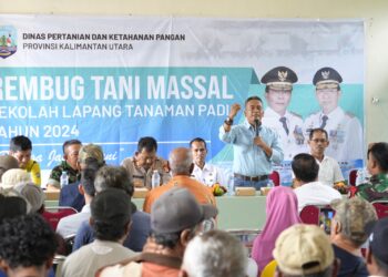 Inovasi Pertanian Modern dan Mandiri Di Kaltara: Desa Karang Agung Luncurkan Sekolah Lapang Padi 2024