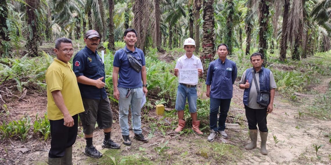 Perkuat Kelistrikan Kaltim-Kaltara PLN UIP Kalimantan Bagian Timur Bangun SUTT 150 kV Sangatta-Wahau