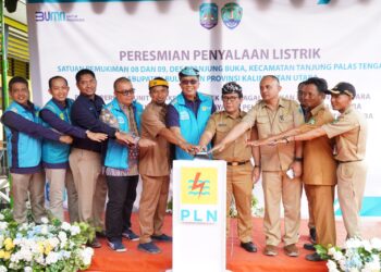 Penerangan Baru di Tanjung Buka: Warga Kini Nikmati Listrik PLN