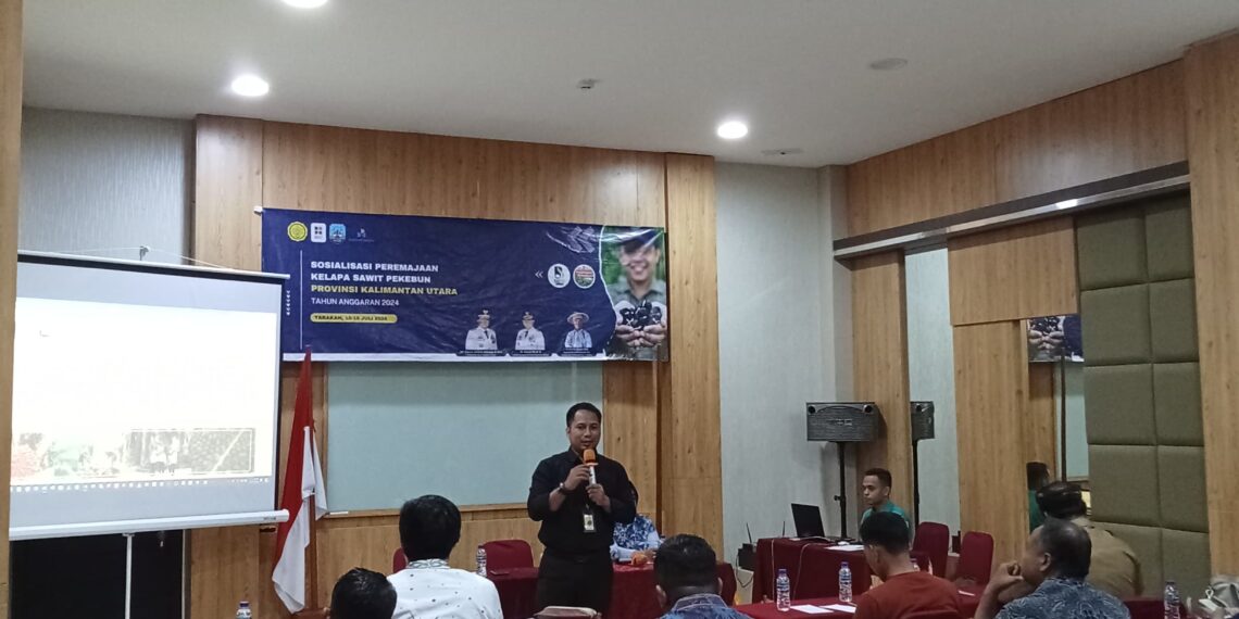 Strategi Dinas Pertanian Kaltara Dan DJP Guna Tingkatkan Pendapatan Daerah Lewat Sosialisasi Kelapa Sawit