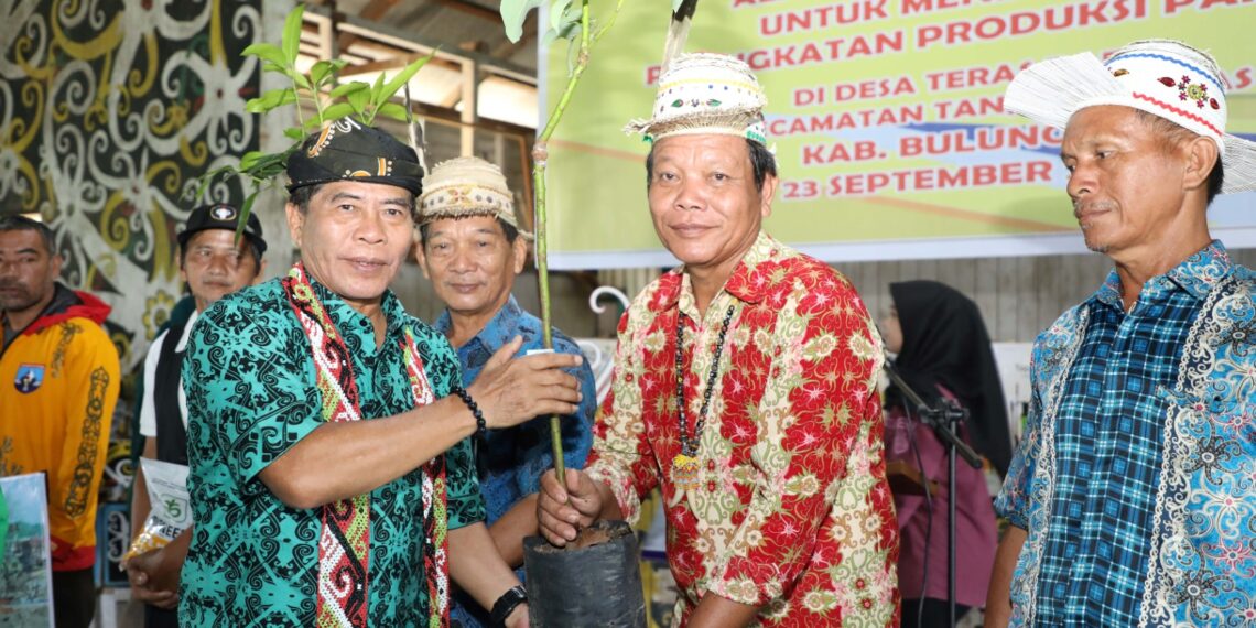 Jadi Pintu Masuk IKN, Kaltara Berbenah Tingkatkan Produktivitas Pangan Nasional