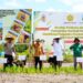Gubernur Kaltara Galakkan Aksi Tanam Padi Di Dusun Sekang Tanjung Palas