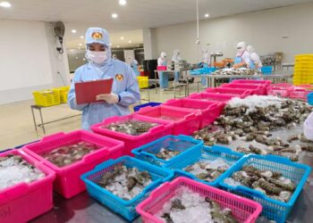 Dinas Kelautan Dan Perikanan Kaltara Petakan Potensi Hilirasi Produk Perikanan