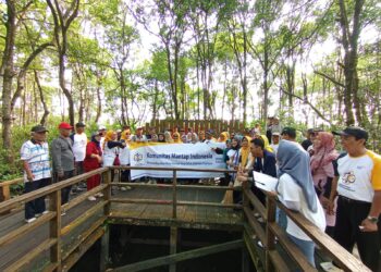 Semangat Lansia Untuk  Lingkungan: KMI Tarakan Dan Pelestarian Mangrove Dan Bekantan (KKMB)