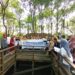 Semangat Lansia Untuk  Lingkungan: KMI Tarakan Dan Pelestarian Mangrove Dan Bekantan (KKMB)