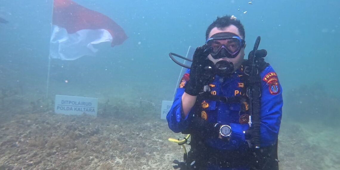 Transplantasi Terumbu Karang! Polairud Polda Kaltara Selamatkan Ekosistem Laut Perbatasan Karang Unarang