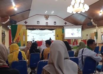 Cegah Dini Kasus Gizi Buruk, DP3AP2KB Kota Tarakan Gelar Diseminasi Hasil Audit Kasus Stunting (AKS)
