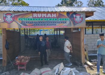 Terobosan Baru DPKP Kaltara, Jadikan Malinau Peternakan Hewan Terbesar