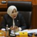 DPR RI Dapil Kaltara, Desak Konsistensi PDIP Soal Kebijakan PPN 12%
