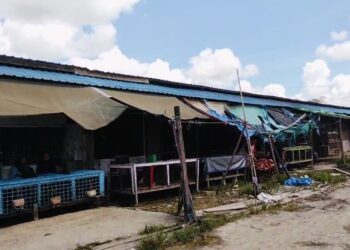 Pemkab Bulungan Akan Bongkar Kios Penjual Ayam Potong Di Pasar Induk Tanjung Selor