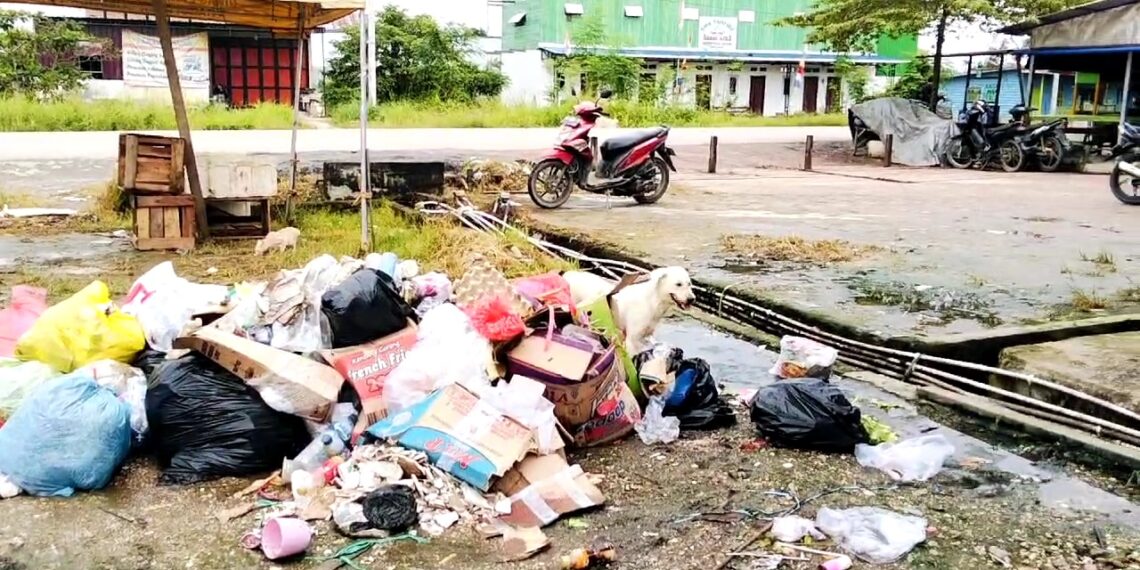 Kebiasaan Buang Sampah Di Luar Jam Petugas, Jadi Sebab Menumpuknya Sampah  Pasar Induk