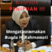 Hati-hati! Penipuan Berkedok Bunda Kaltara Hj.Rahmawati Dan Meminta Transfer Dana