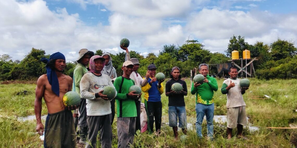 Petani Bulungan, Sulit Dapatkan Pupuk Bersubsidi? Pemprov Kaltara Beri Penjelasan