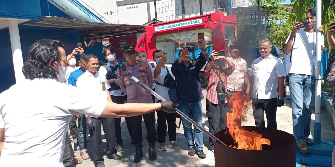 Mengusik Jaringan Narkotika, BNNP Kaltara Kembali Musnahkan Ganja Dan Sabu