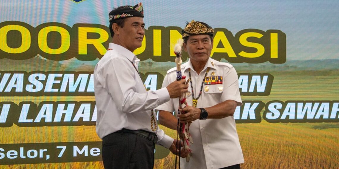 Menteri Pertanian RI, Dorong Kaltara Dari Pengimpor Jadi Exportir Beras!