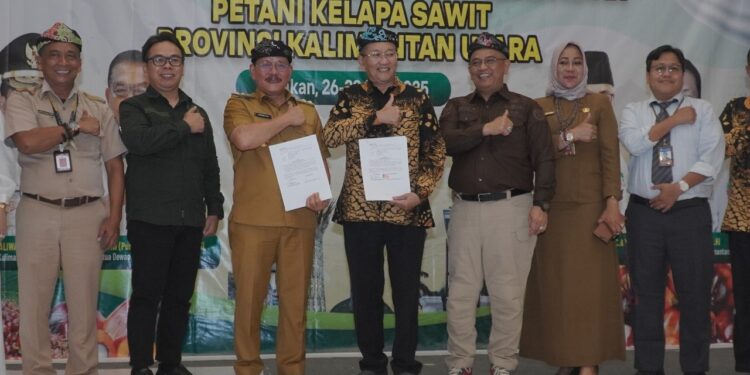 DPKP Kaltara Naikkan Nilai Ekonomi Kelapa Sawit, Lewat Pendidikan Gratis Dan Segerakan Pabrik Minyak Goreng