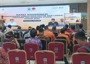 7 Dari 17 Bencana Kaltara Adalah Karhutla, Pemprov Gelar Rakor Penanggulangannya