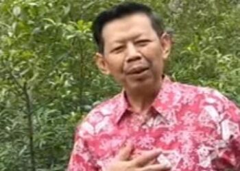 Ketika Keperpihakan Pemimpin Jadi Penentu, Catatan Lapangan dari Pulau Tarakan hingga Pulau Gag