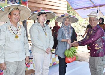 Panen di Desa Metun Sajau, Wakil Bupati Bulungan Tekankan Dukungan untuk Petani