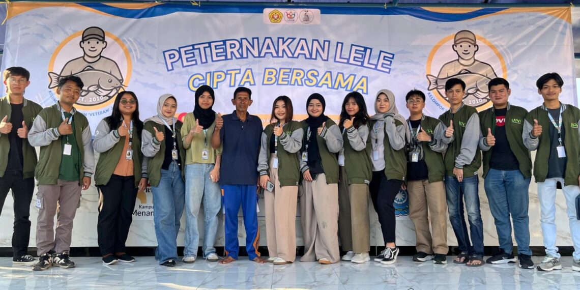 Mahasiswa KKN UPN Veteran Jatim, Bangkitkan Peternakan Lele Morokrembangan Dengan Pendampingan