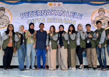 Ternak Lele Morokrembangan, Bangkit Berkat Pendampingan Mahasiswa KKN UPN Veteran Jatim!