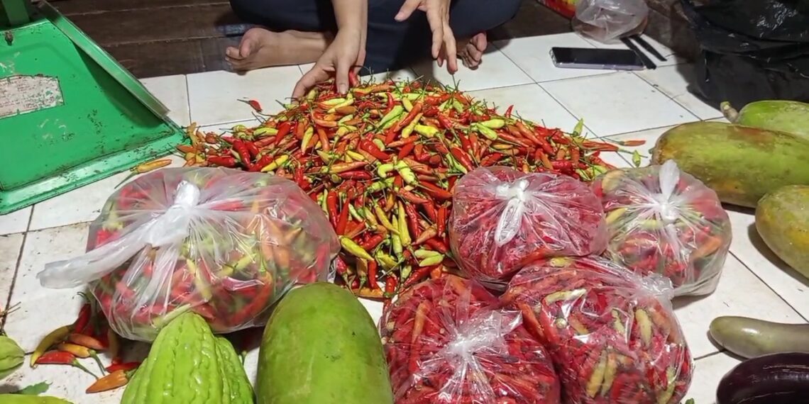 Harga Cabai Rawit Turun! Sayuran dan Bumbu Dapur Lain, Justru Naik