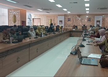Pemprov Kaltara Susun Perkada Pelaksanaan Perda Penyandang Disablitas !