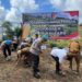 Dukung Ketahanan Pangan, Bidpropam Polda Kaltara Tanam Jagung 10 Hektar di Bulungan