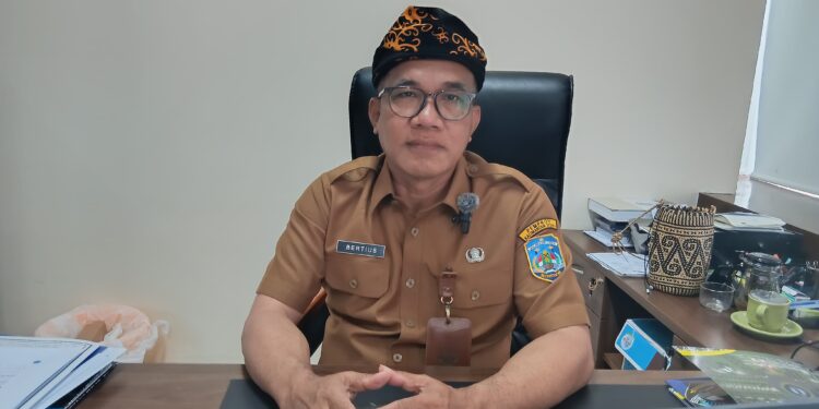 Angka Stunting di Kaltara Masih Fluktuatif, Bappeda Desak Kolaborasi Lintas Sektor