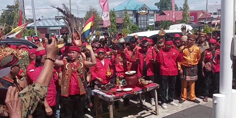 Tolak Keras Transmigrasi! Masyarakat Dayak, Bulungan dan Tidung, Datangi Kantor Gubernur Kaltara