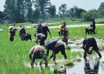 Realisasi Oplah di Kaltara Capai 72 Persen, DPKP Targetkan Rampung September 2025