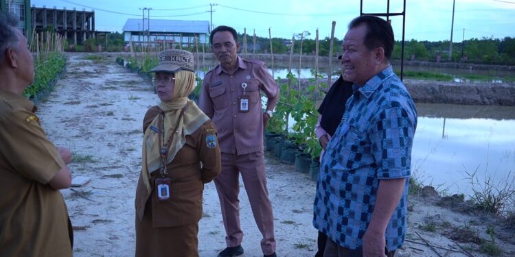 PEDA KTNA III Kaltara Siap Digelar! Unjuk Display Padi di Tanah Minim pH Dengan Teknologi Pertanian
