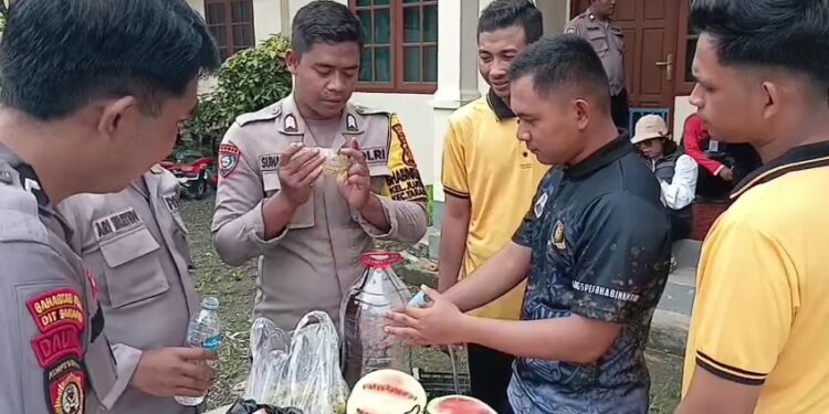 Ketahanan Pangan Berawal dari Rumah! DPKP Kaltara Bersama Polda Gelar Pelatihan Pemanfaatan Pekarangan