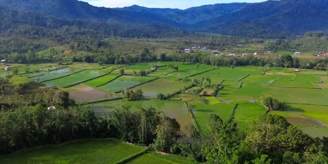 Atasi Infrastruktur Krayan dan Sei Menggaris, Bapedda Dorong Akselerasi Pembangunan PLBN