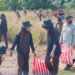 World Cleanup Day 2025, Aksi Bersih-Bersih Pantai di Kecamatan Tana Lia