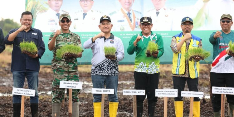 DPKP Kaltara dan Pemkot Tarakan Laksanakan Tanam Padi Perdana di Juata Laut