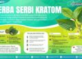 Dari Tanaman Obat Herbal, Kratom Jadi Harapan Baru Petani Kaltara